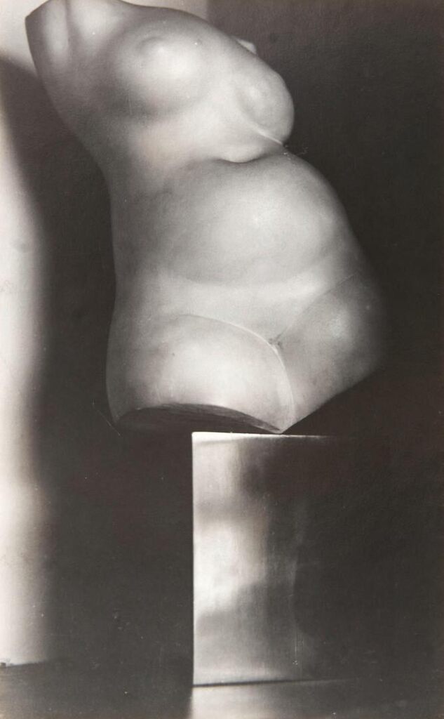Torso, Gaston Lachaise, at An American Place, New York