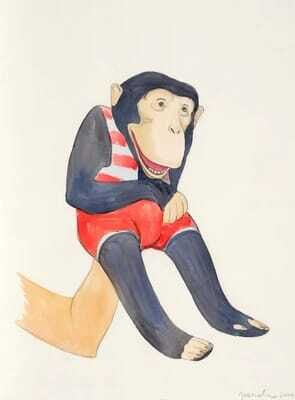 Chimpanzee