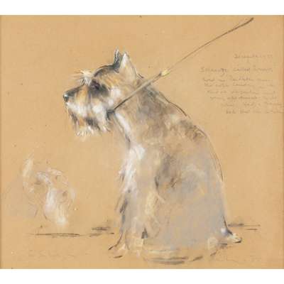 SCHNAUZER CALLED RONNIE