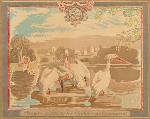 THE PELICANS OF WHITEHALL