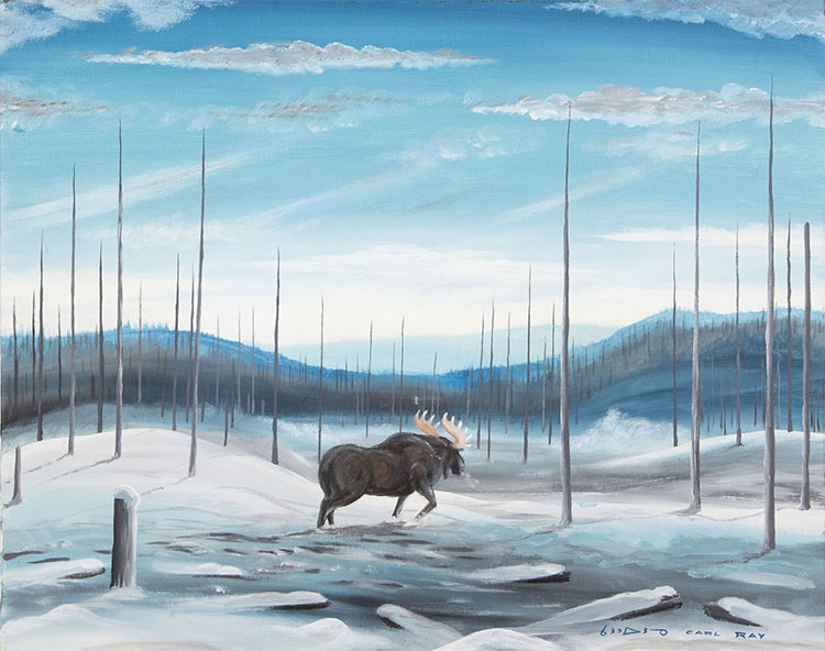 Moose in Burned Out Forest, Winter (#0098)