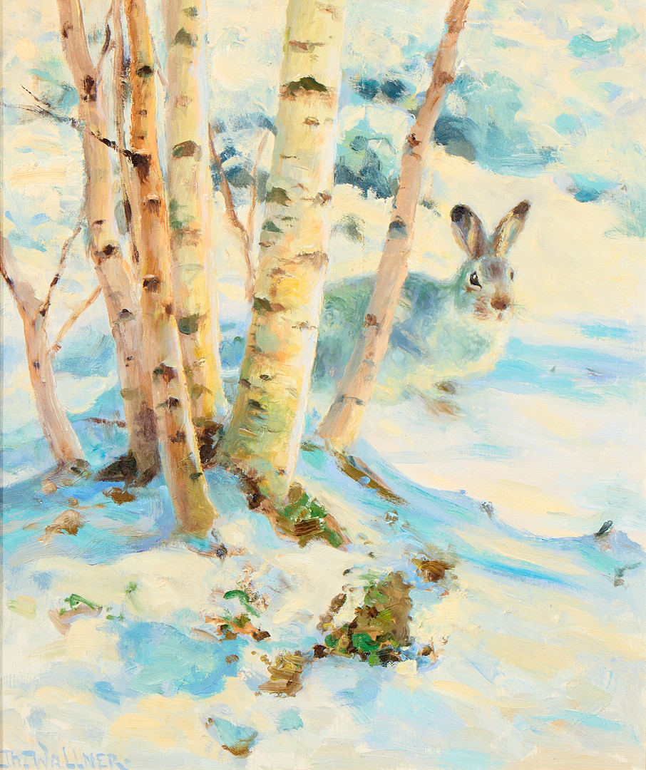 Hare i snö.