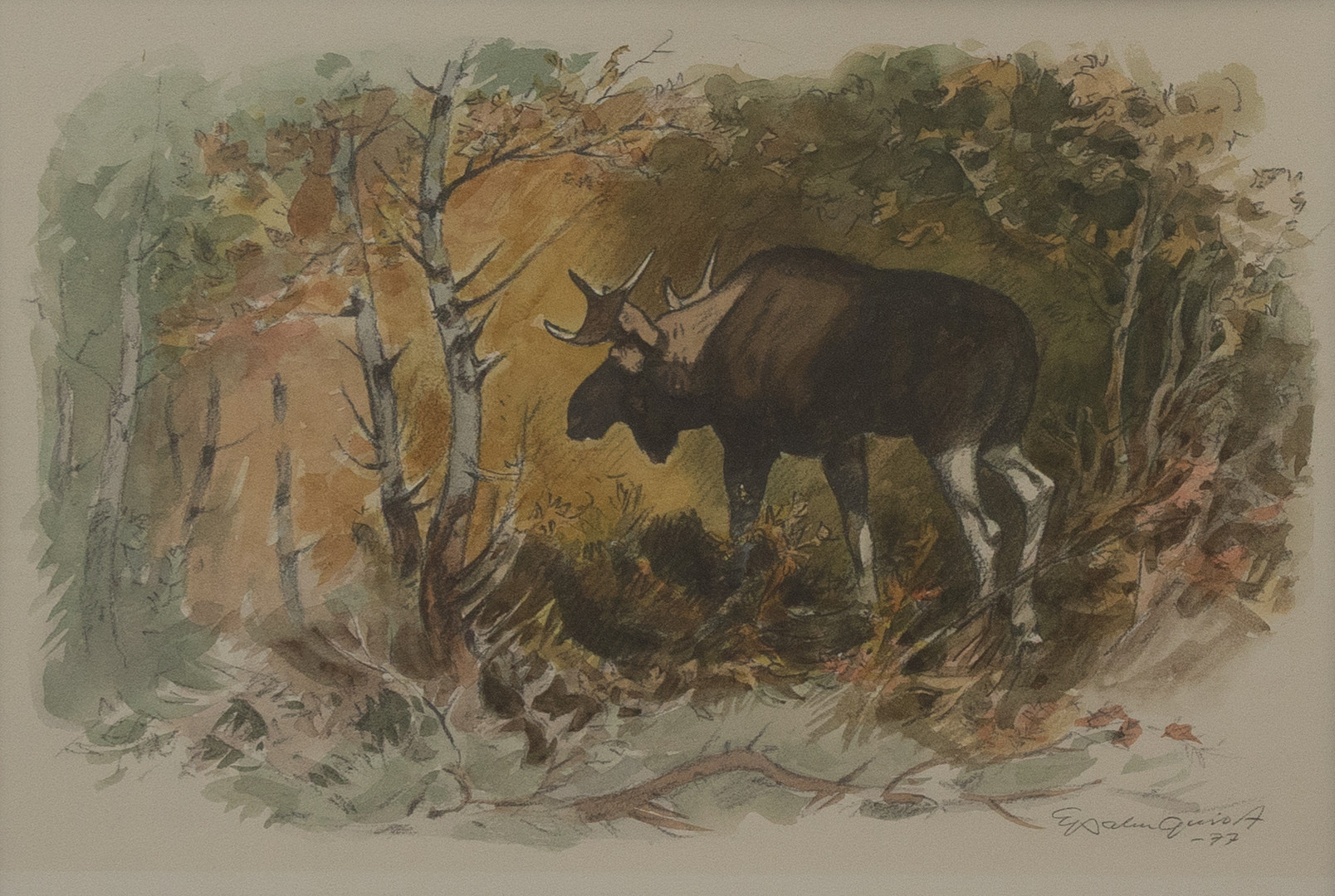 Älg i skogslandskap, akvarell, signerad och daterad -77.
