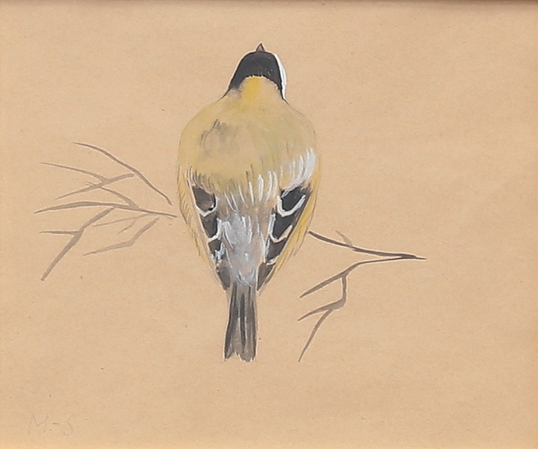 Fågel, gouache, signerad M-S, brickmärkt.