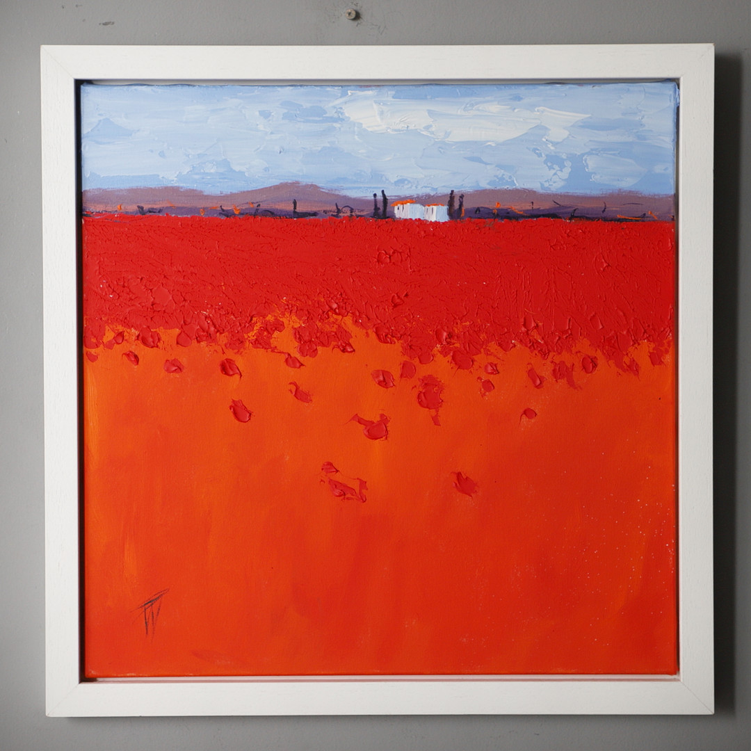1952). POPPY FIELD, FRANCE.