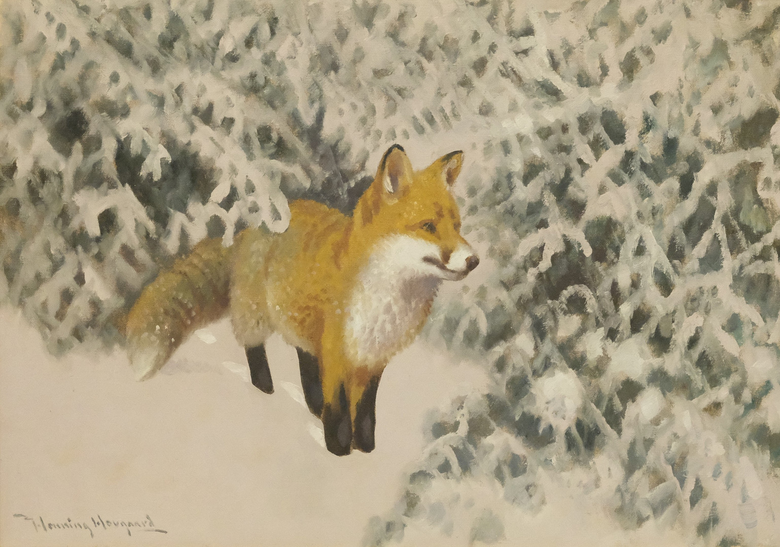 RÄV I SNÖLANDSKAP, OLJA PÅ DUK.
