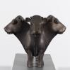 Three headed cow