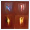 “Architettura del colore” 2003