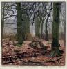 Dijkstra, Siemen: De Bork (Herbstlicher Wald)