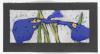 Fussmann, Klaus: Iris/Roter Mohn