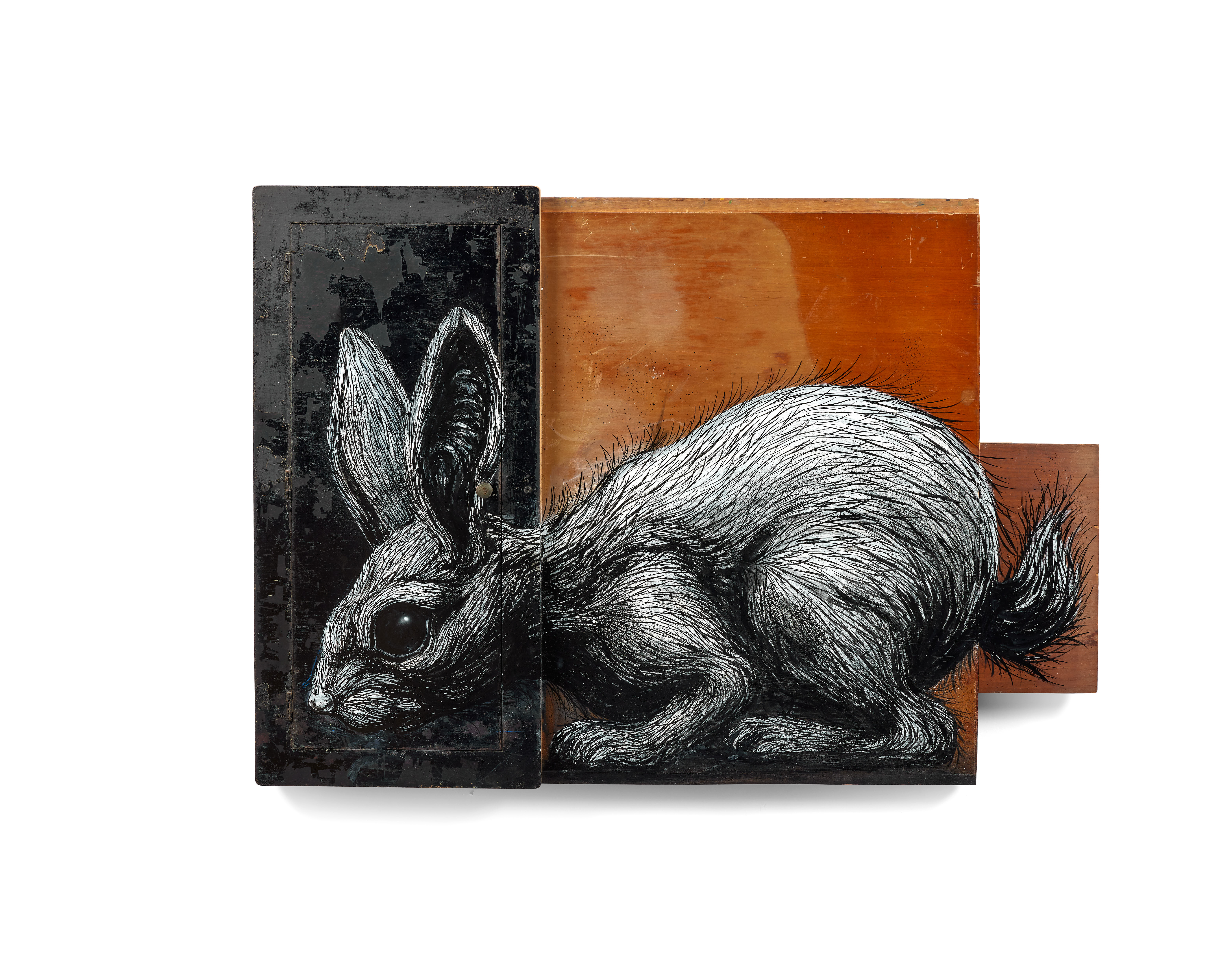 Sylvilagus Audubonii – 2015