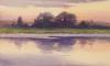 ELIZABETH WATSON (AMERICAN, 1863 - 1949)