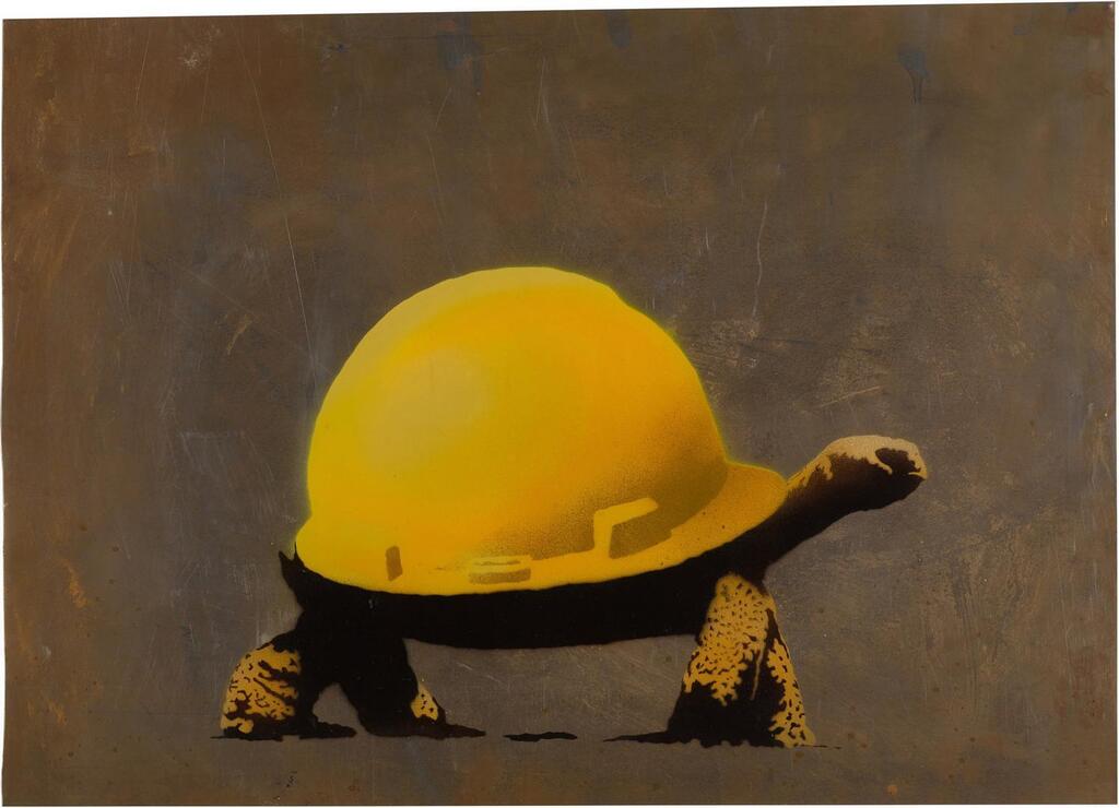 Tortoise Helmet