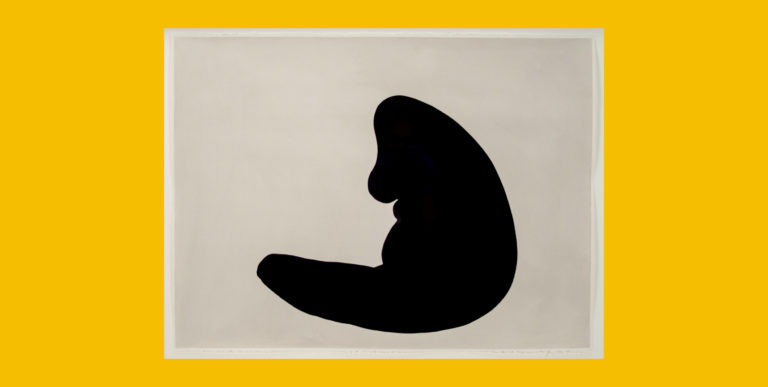 The Embodiment of Form
