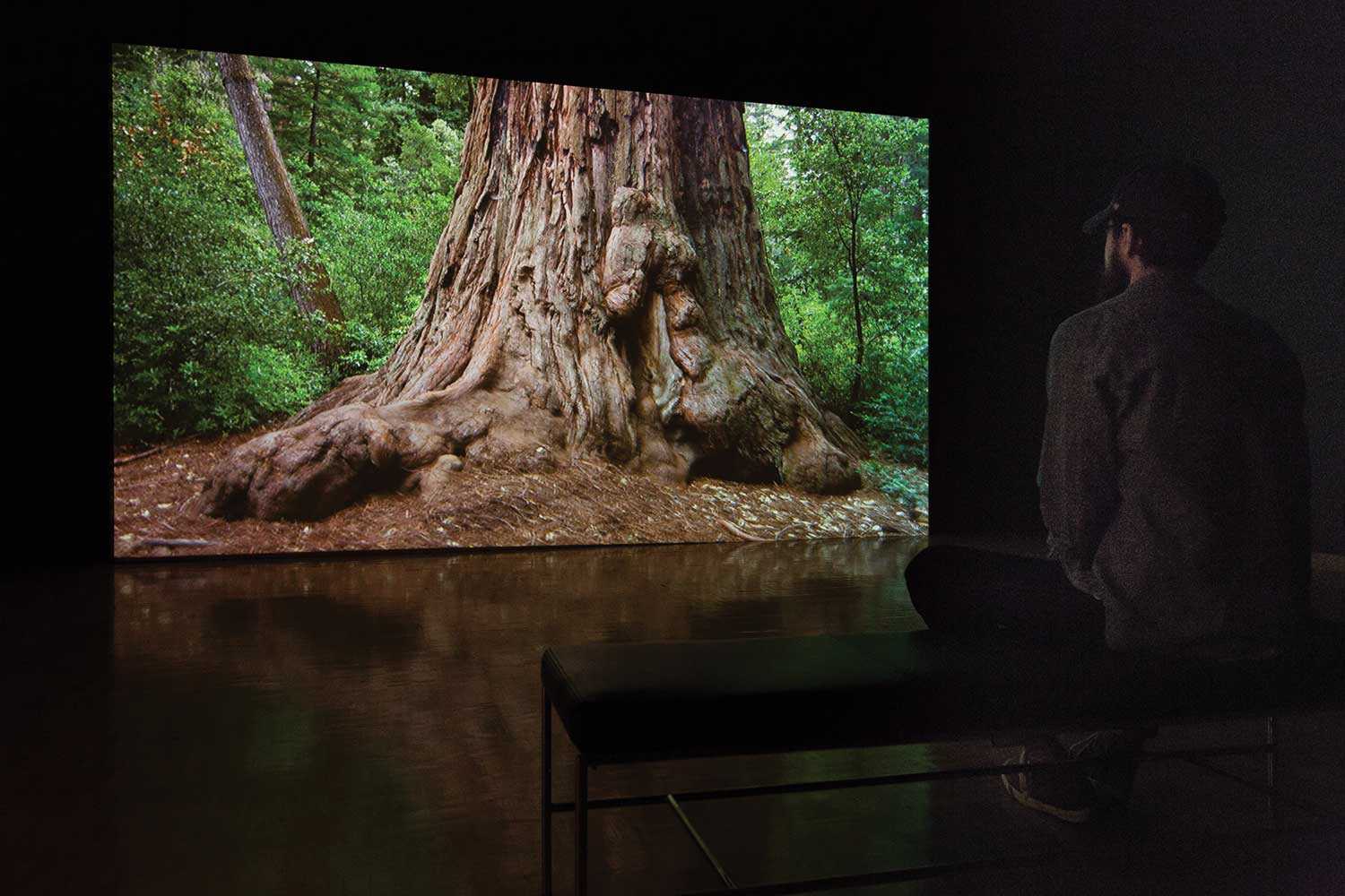 New Media: Julie Orser