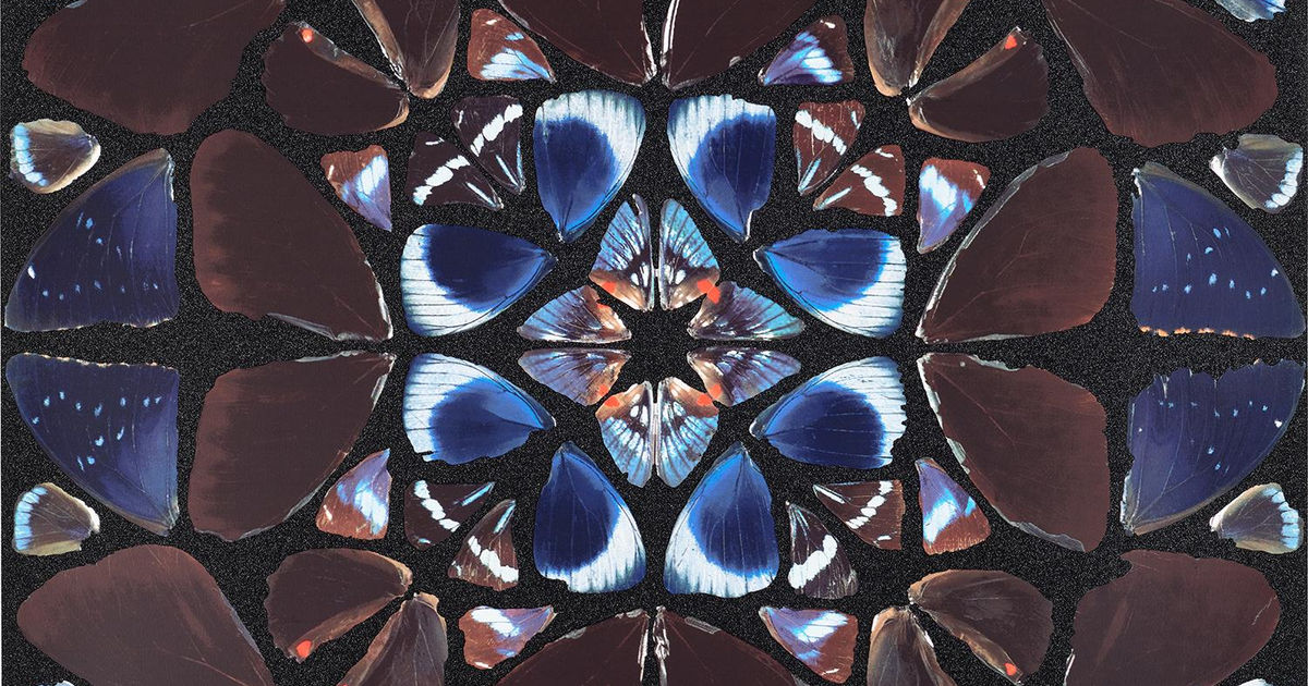 Drang Gallery - Padstow logo