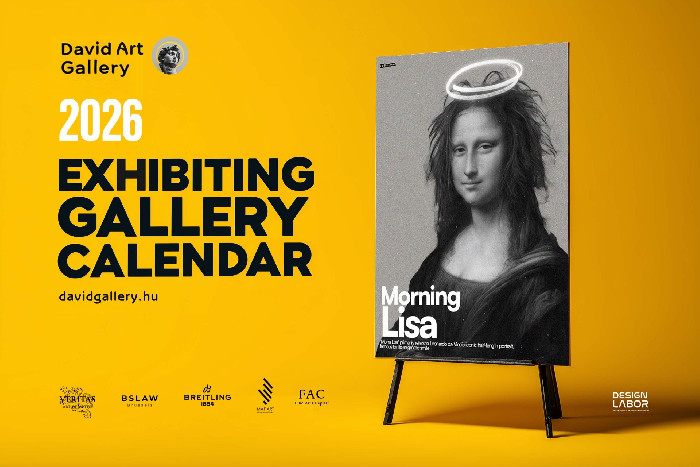 DAVID GALLERY logo