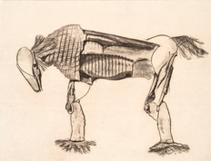 Apparitions: Frottages and Rubbings from 1860 to Now