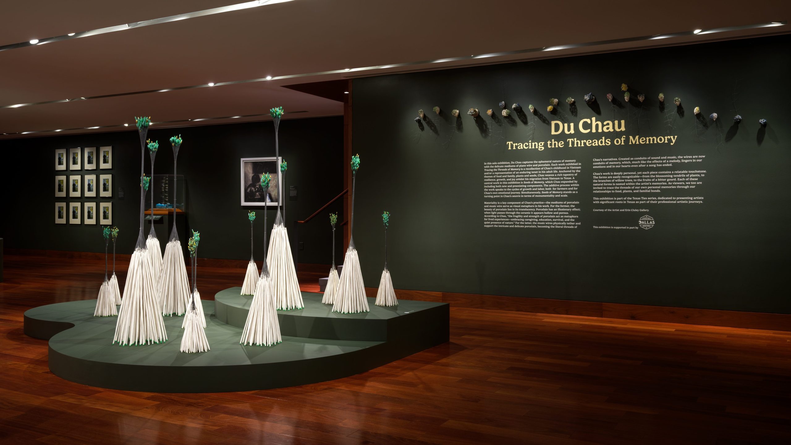 Du Chau: Tracing the Threads of Memory