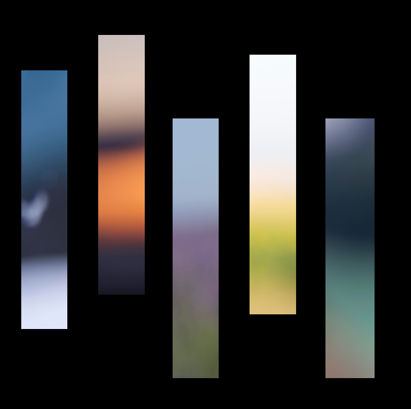 N. West Gallery logo