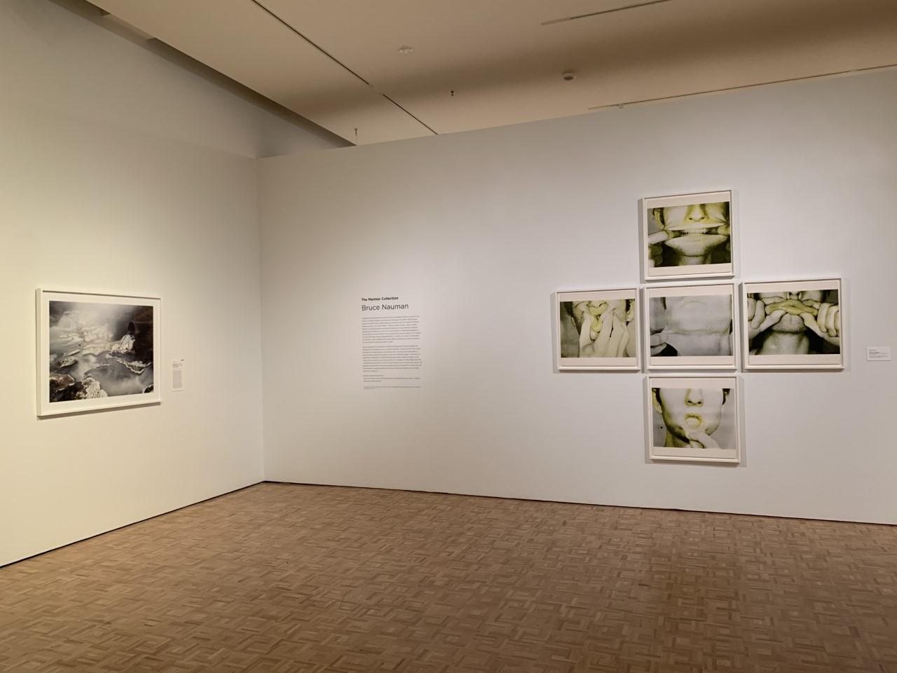 The Marmor Collection: Bruce Nauman