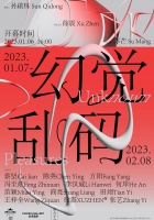 Hallucinated Code