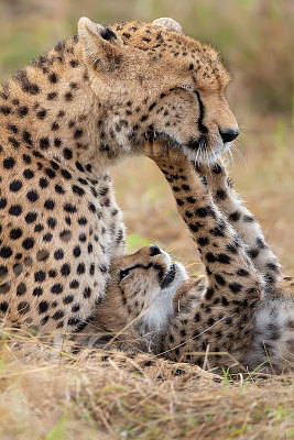 23rd Annual Nature's Best Photography: Windland Smith Rice International Awards October 29, 2018 – September 2019 Natural History Museum