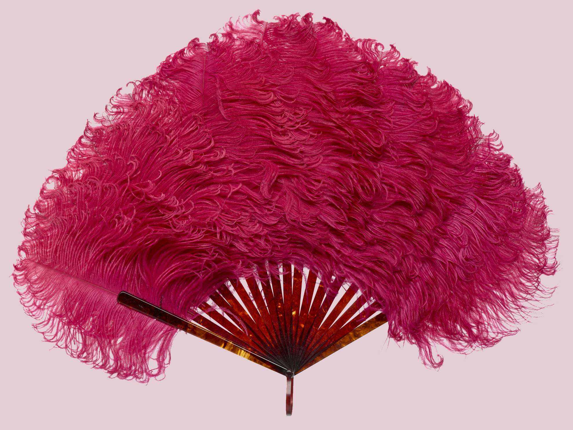Feathermania: Fashion to Die For