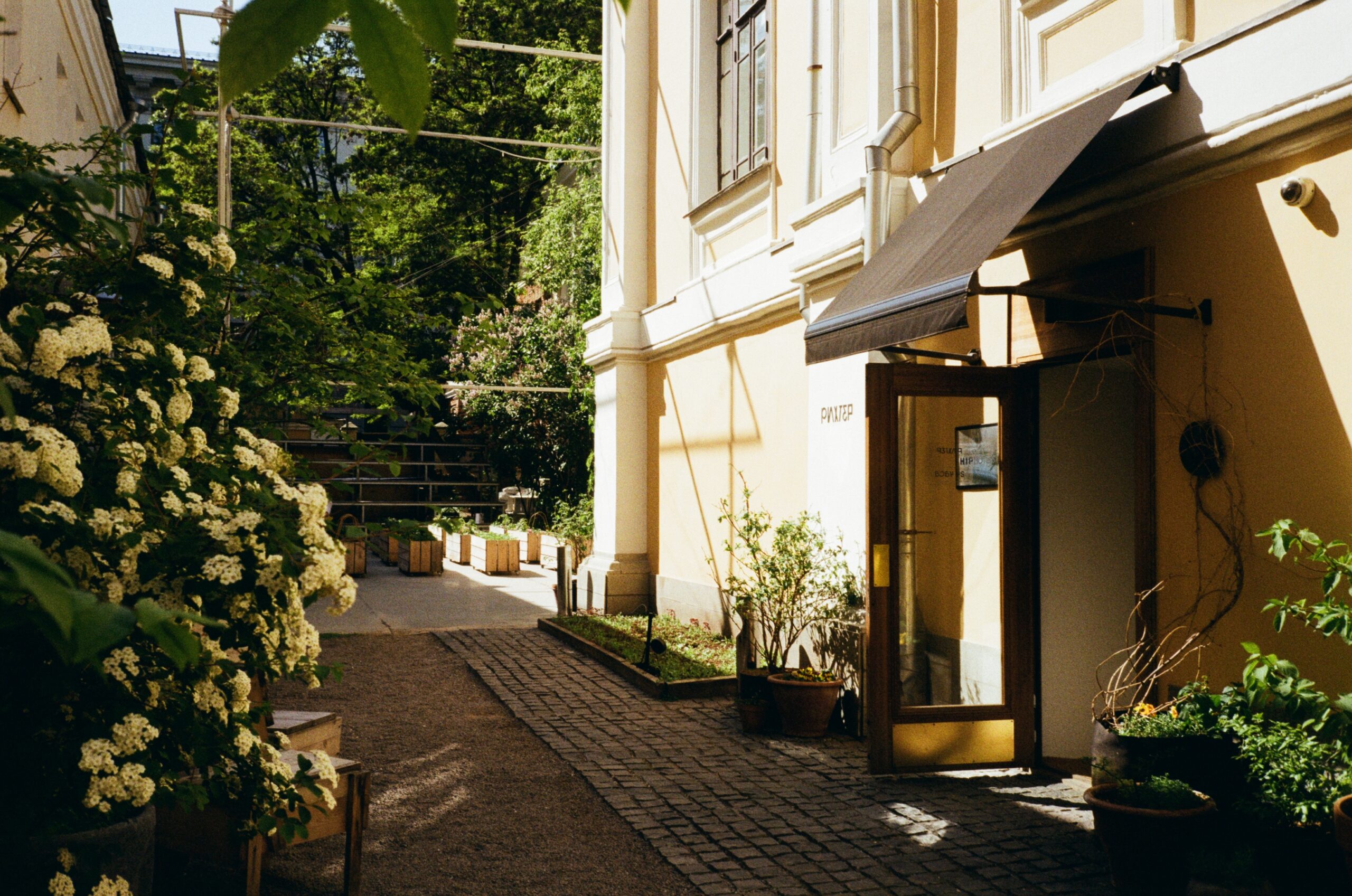 сцена/szena gallery logo