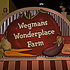 American History MuseumWegmans WonderplaceWednesday, December 09, 2015 – Indefinitely