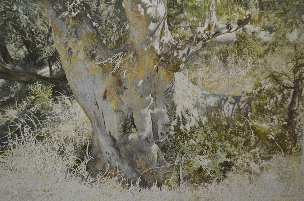 LEIGH VOIGT | Significant Trees