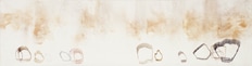 Collection Close-Up: John Cage