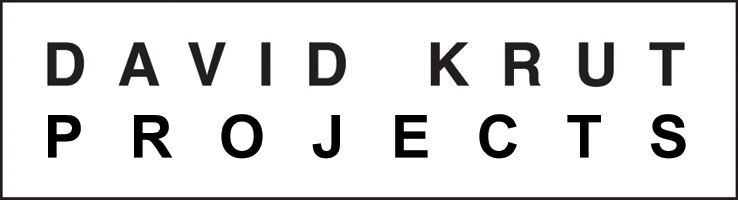 David Krut Projects logo