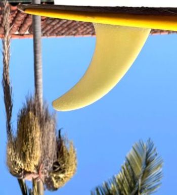 Alex Israel: Upside Down