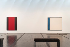 Barnett Newman: The Late Work