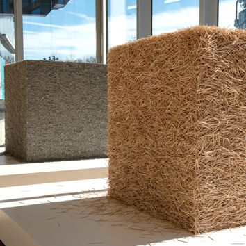 Tara Donovan: Untitled