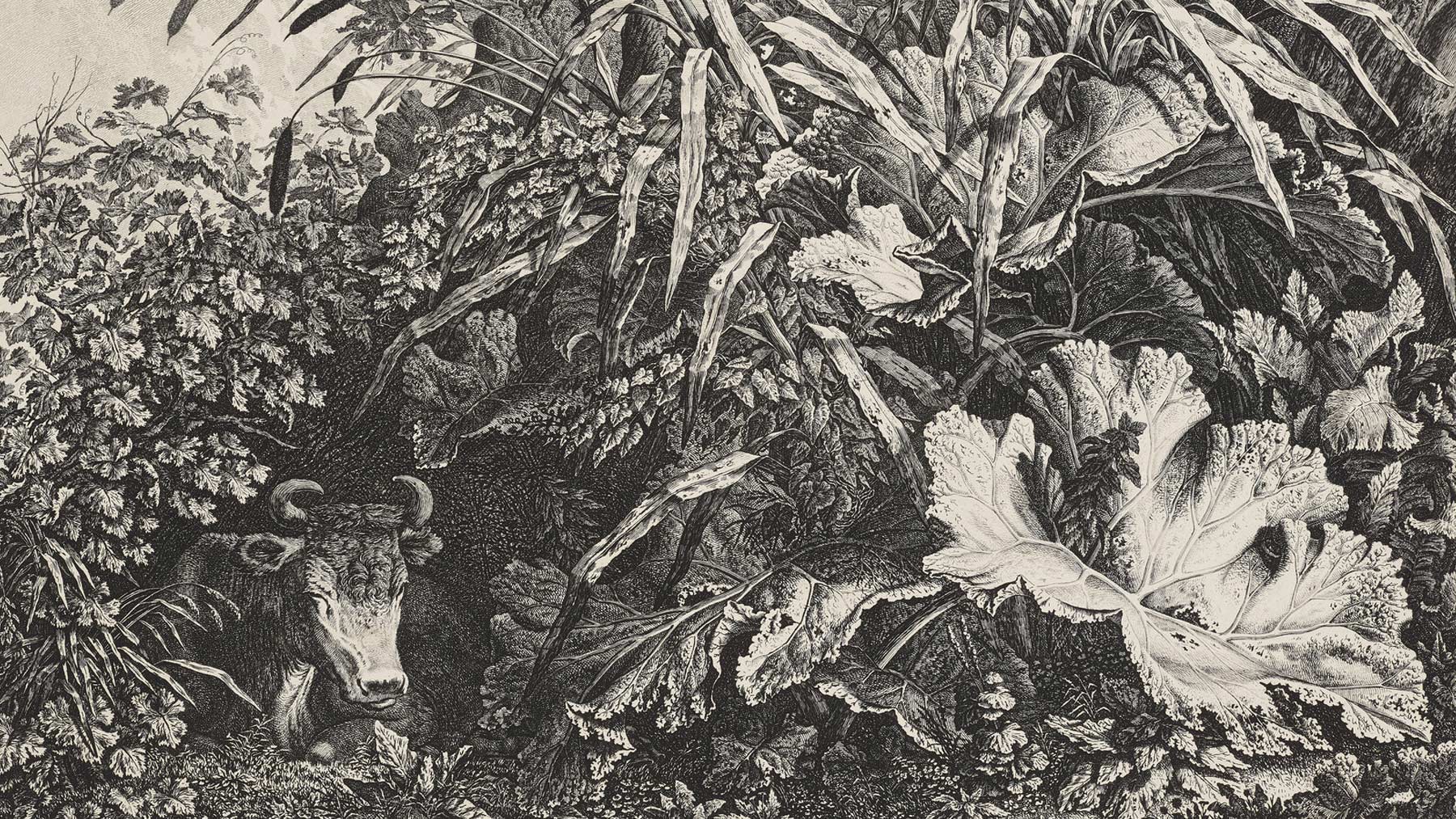 Seeking Revelation: German Romantic Prints and Drawings