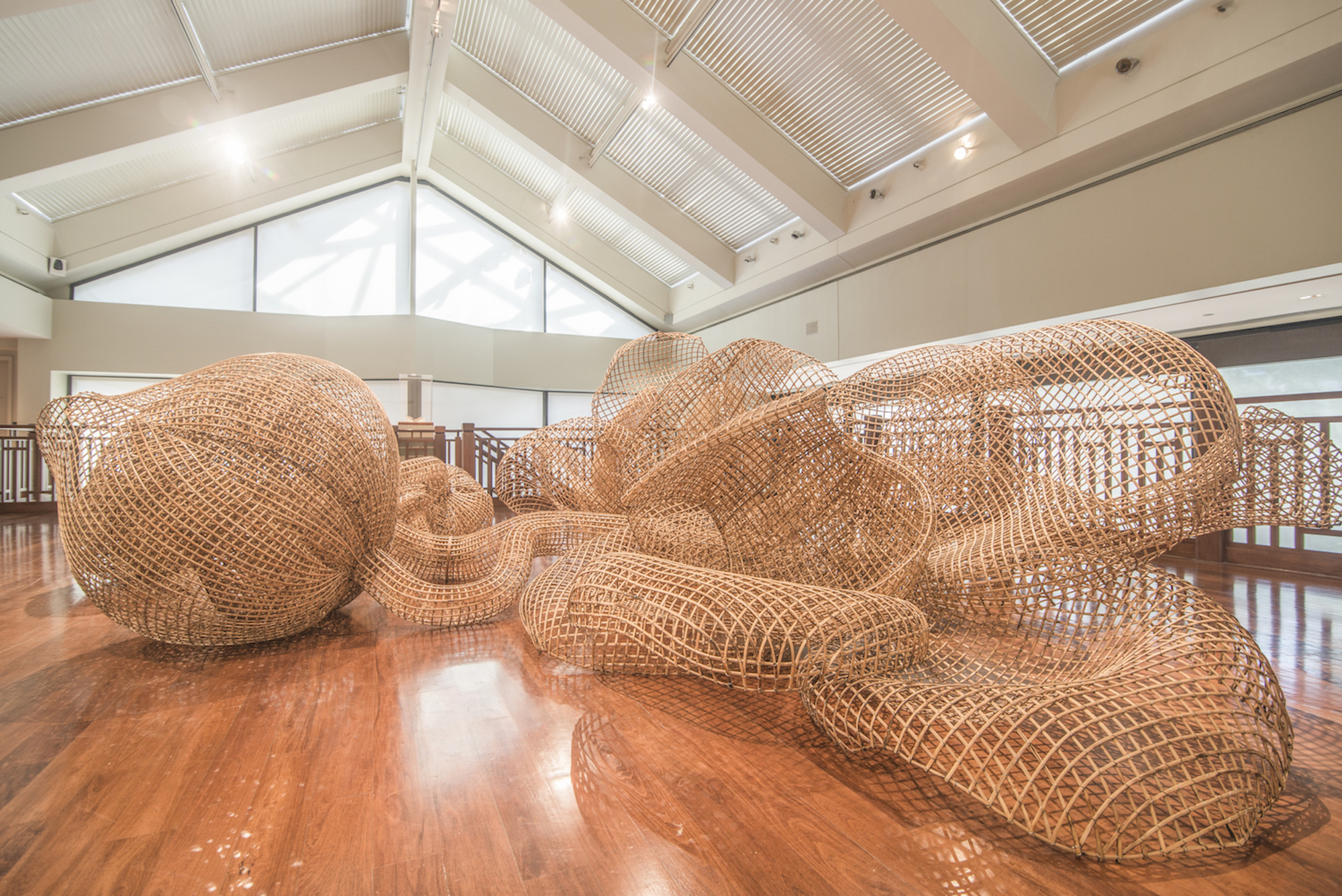 Hidden Nature: Sopheap Pich