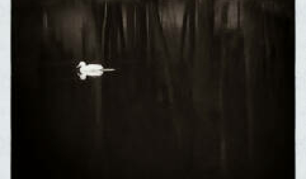 AnzenbergerGallery logo