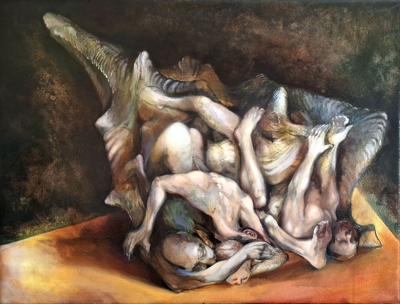 Conchiglie. Corpi mirabili