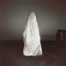 Root Shift: Photographs of Stasis and Change Selected by CAMH Teen Council