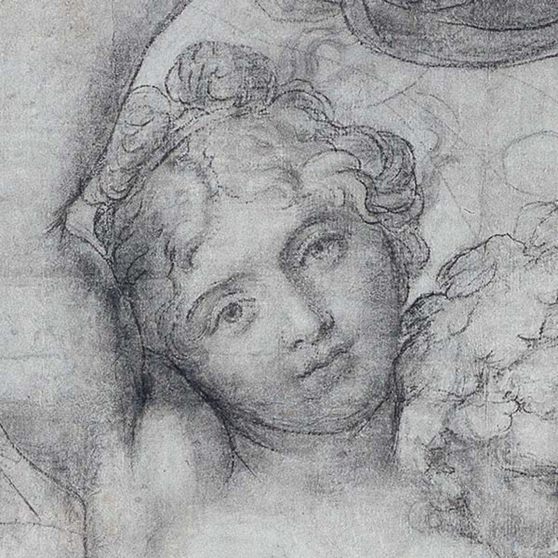 The Carracci Cartoons: Myths in the Making