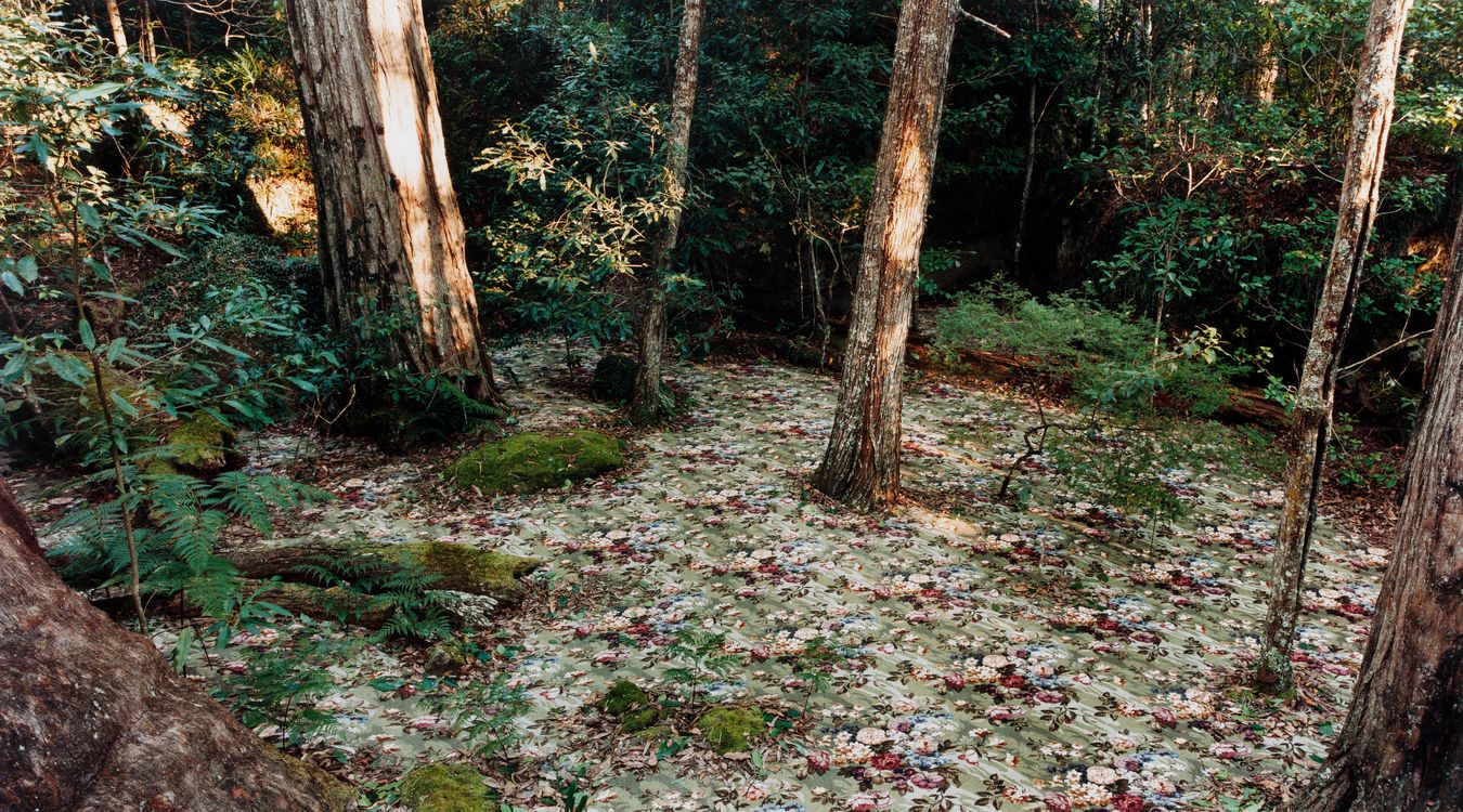2012 Adelaide Biennial of Australian Art: Parallel Collisions