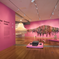 Tanya Aguiñiga: Craft & Care