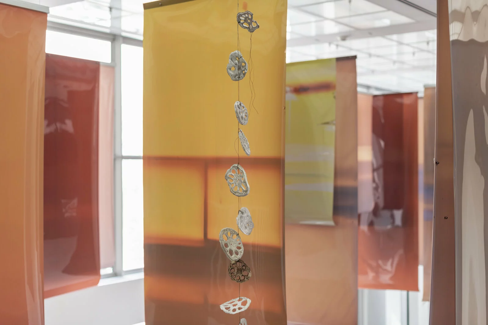 Atrium Project: Lotus L. Kang