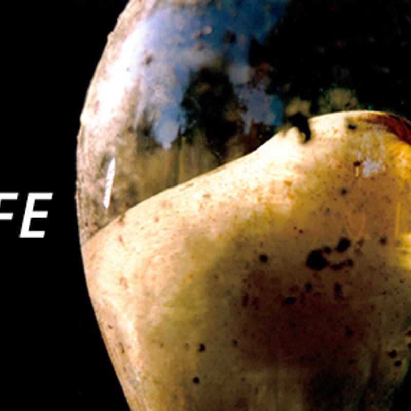 Tacita Dean: STILL LIFE