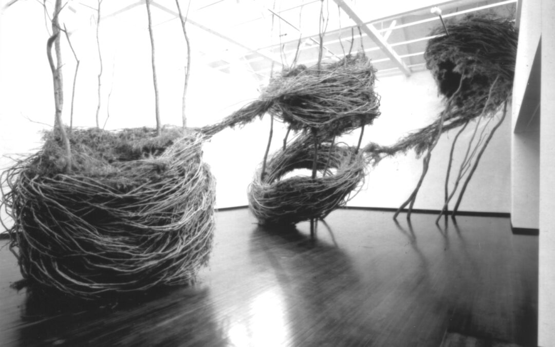 Patrick Dougherty “Shelterbelt”