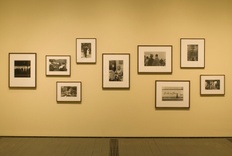 The Whole World Was Watching: Civil Rights-Era Photographs from Edmund Carpenter and Adelaide de Menil