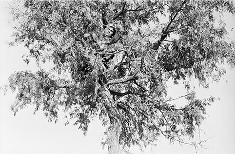 Notes from the Desert: Photographs by Gauri Gill