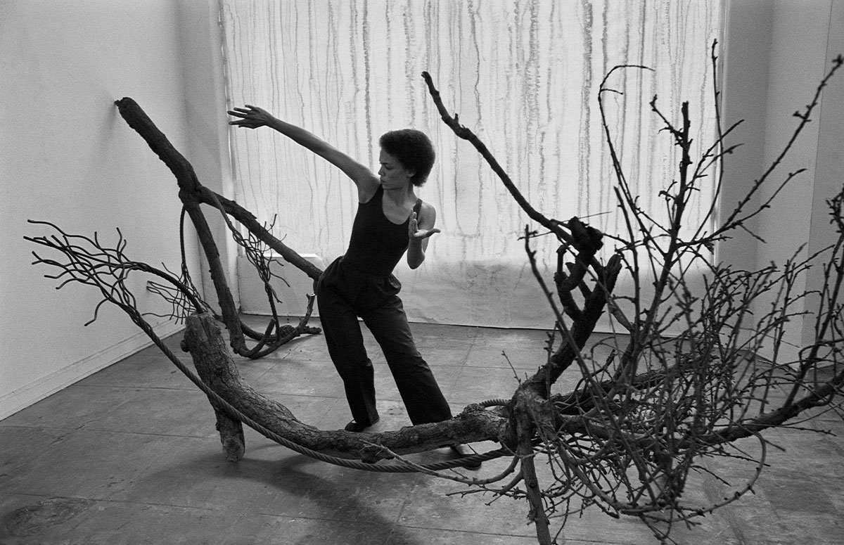 Maren Hassinger: Living Moving Growing